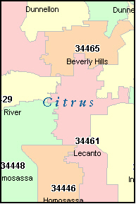 CITRUS County Florida Digital ZIP Code Map