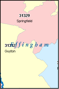 effingham county georgia
