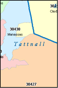 Tattnall County Georgia Digital Zip Code Map